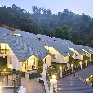 Tea Hills - Mthr India
